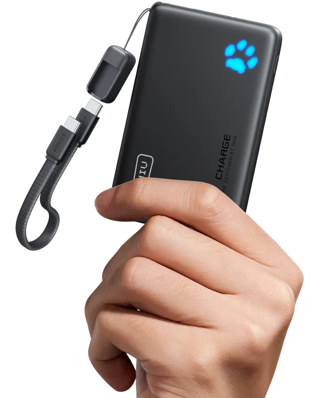 iniu-pawsible-p41-power-bank-45w-10000mah-with-dual-usb-c-in-out-ports-and-high- image 1