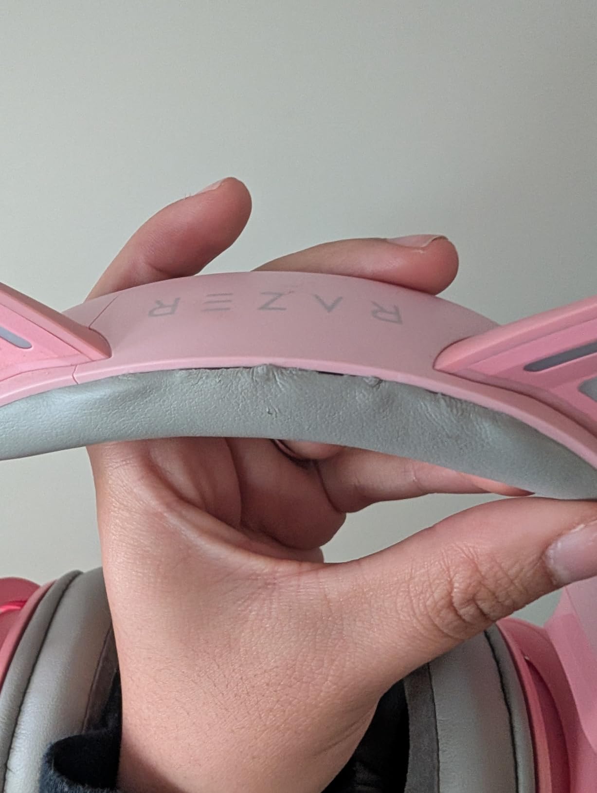 Adorable but pricey features