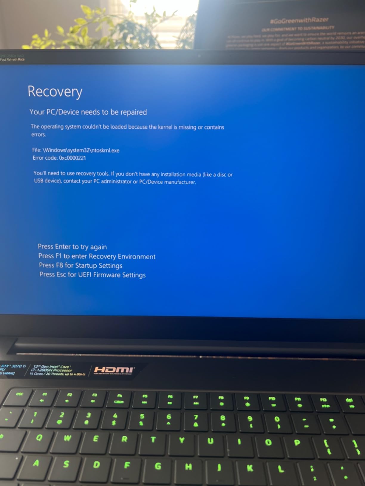 Absolute monster for 1440p gaming