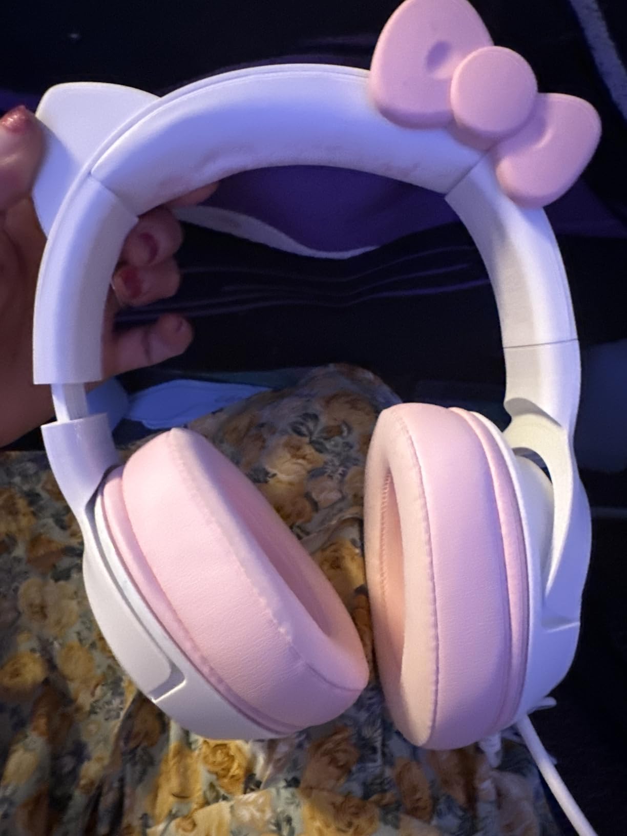 Hello Kitty fan dream come true