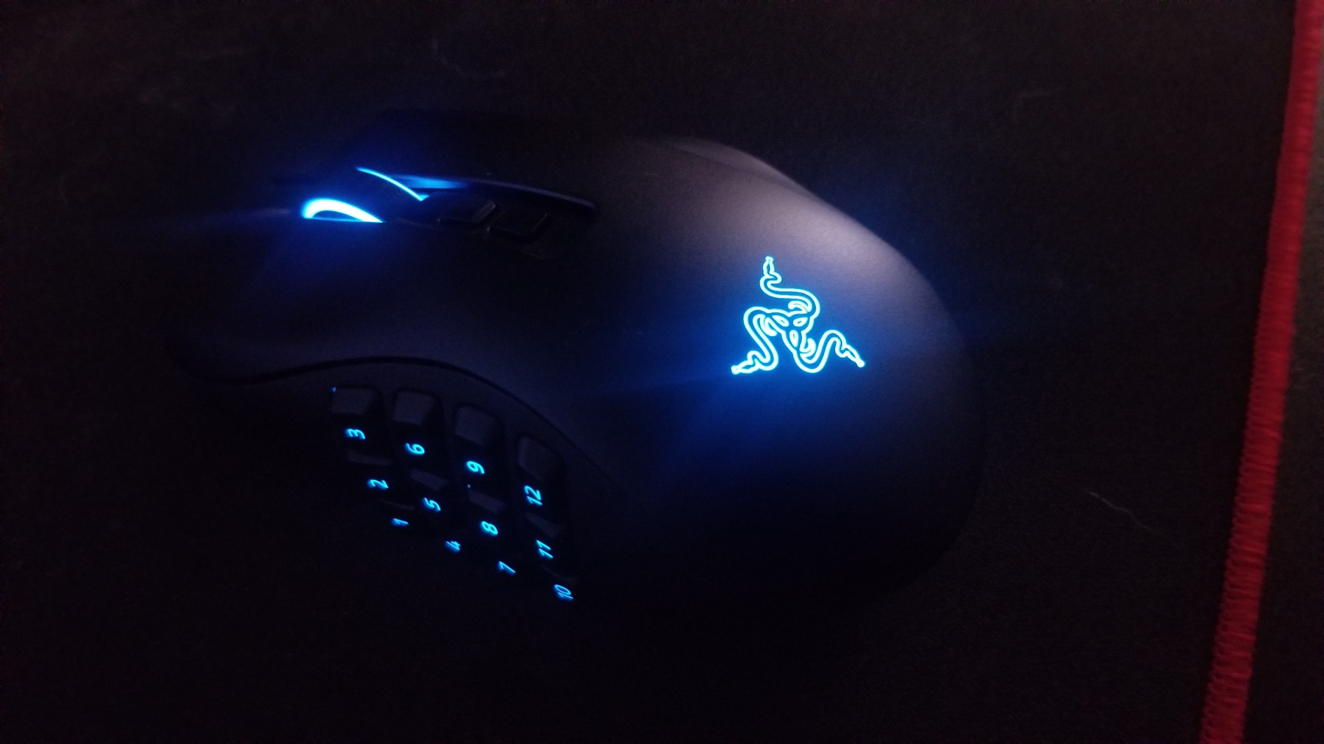 MMO player's dream mouse