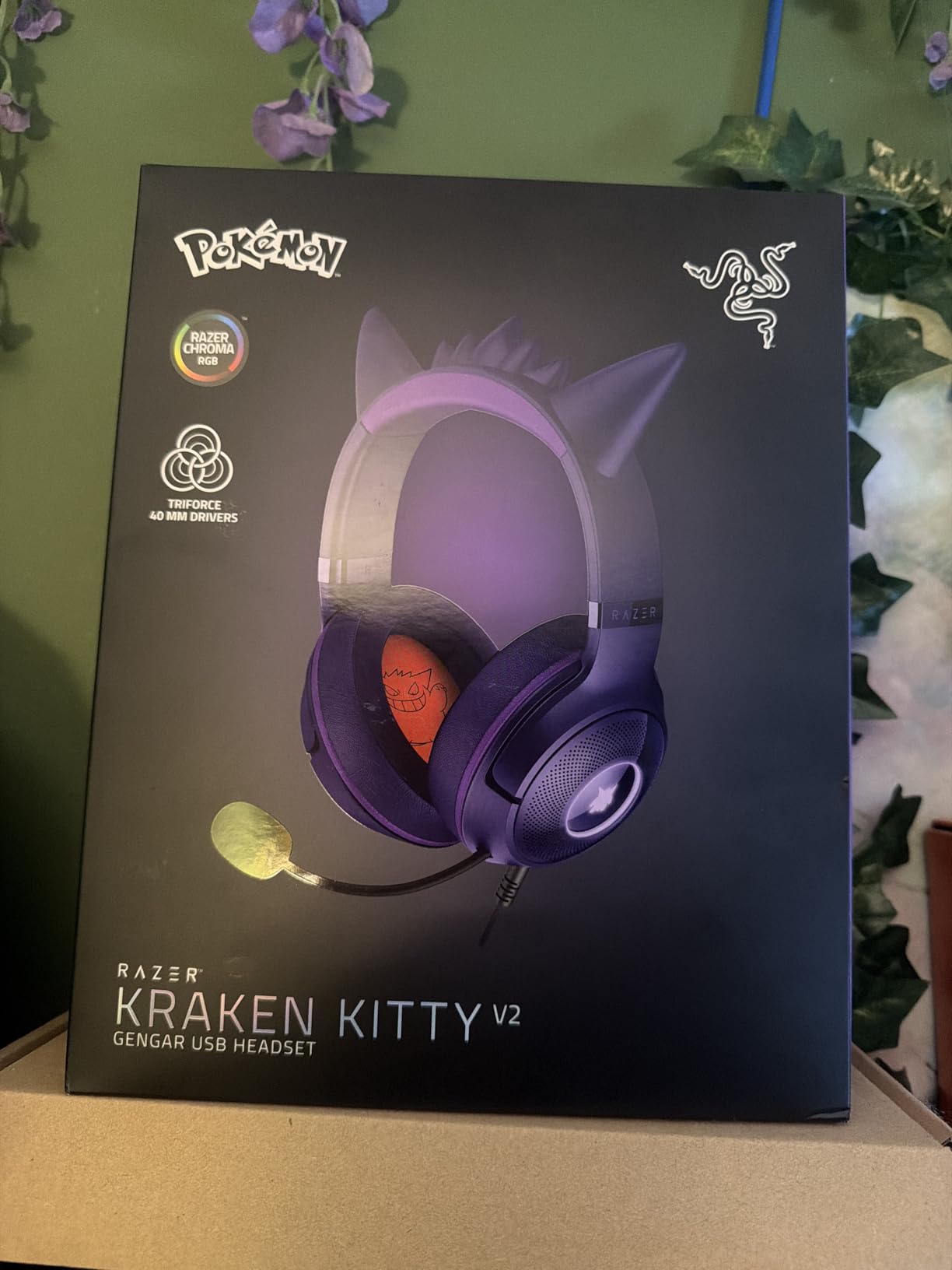 Upgraded from Kitty V1