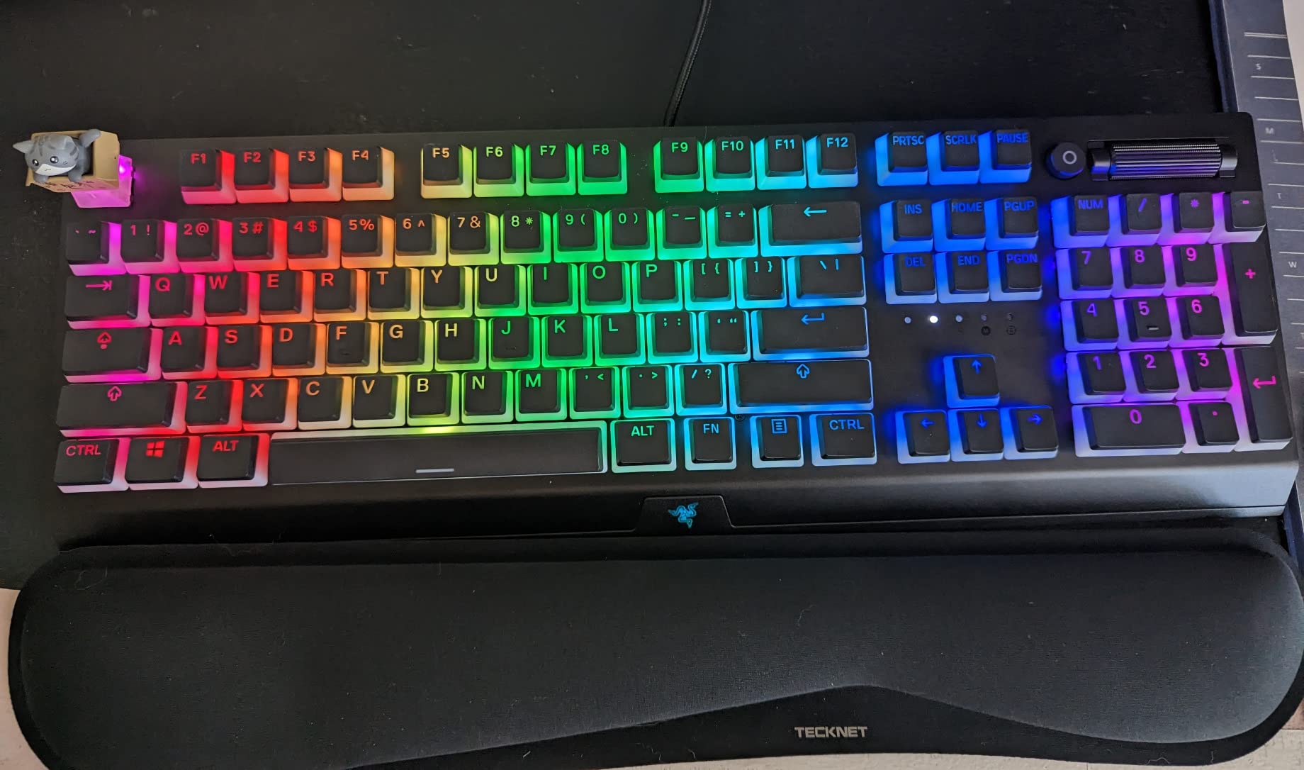 Perfect first mechanical keyboard