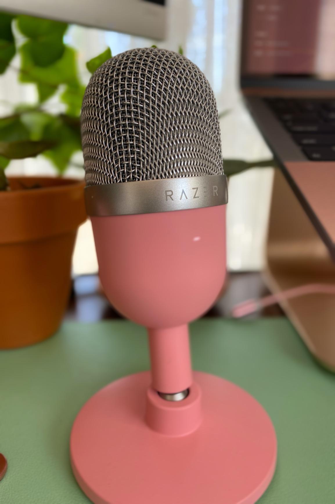 Good sound, limited features