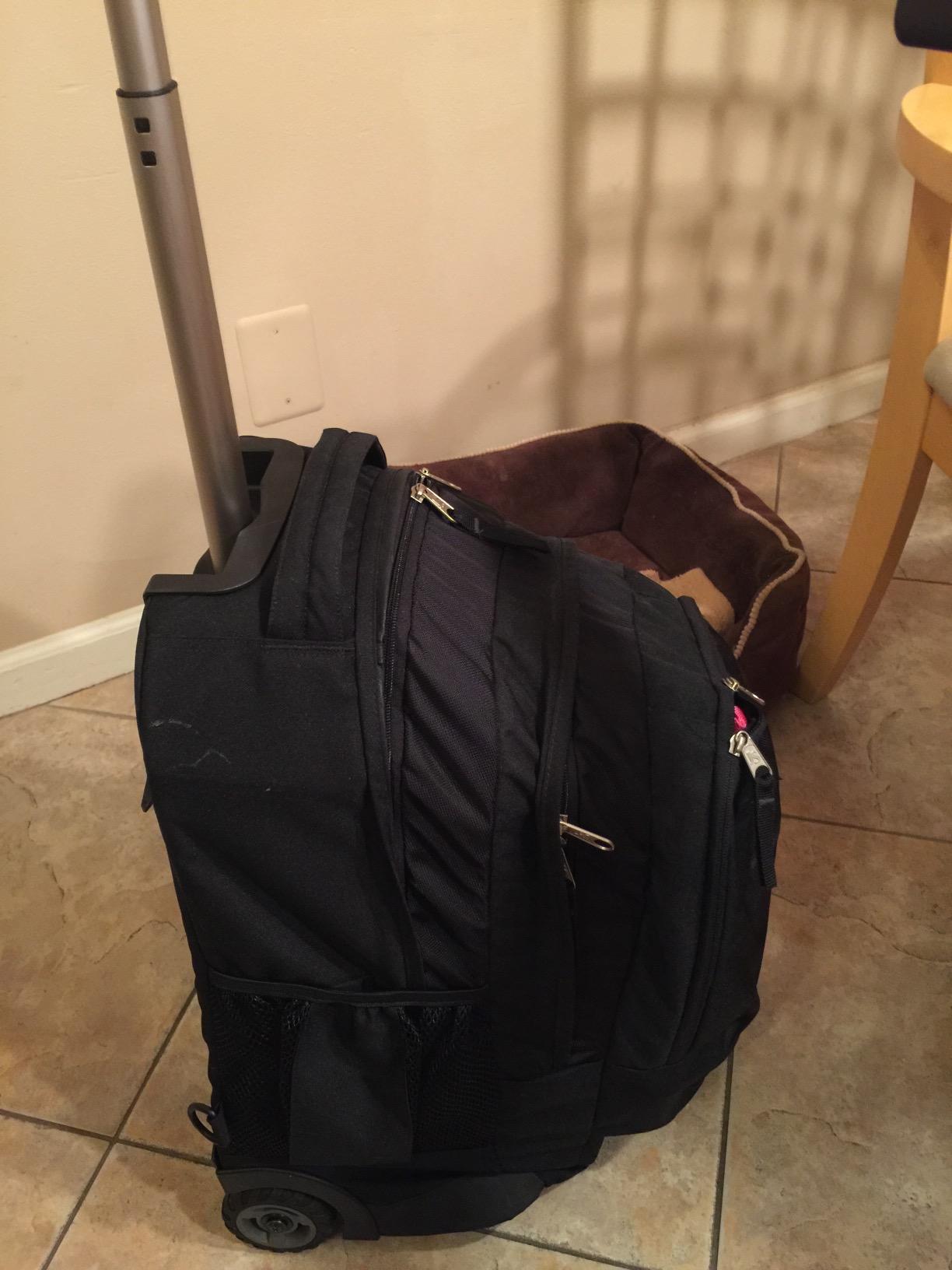 Roomy and sturdy