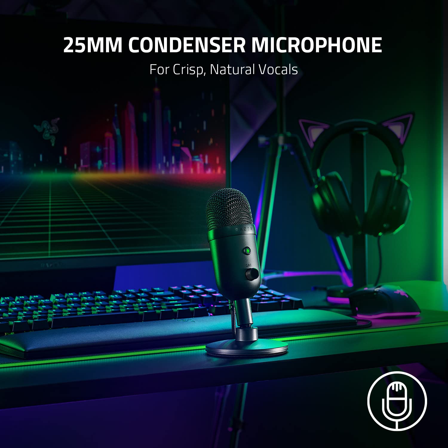 razer-seiren-v2-x-usb-condenser-microphone-supercardioid-pickup-digital-limiter- image 2