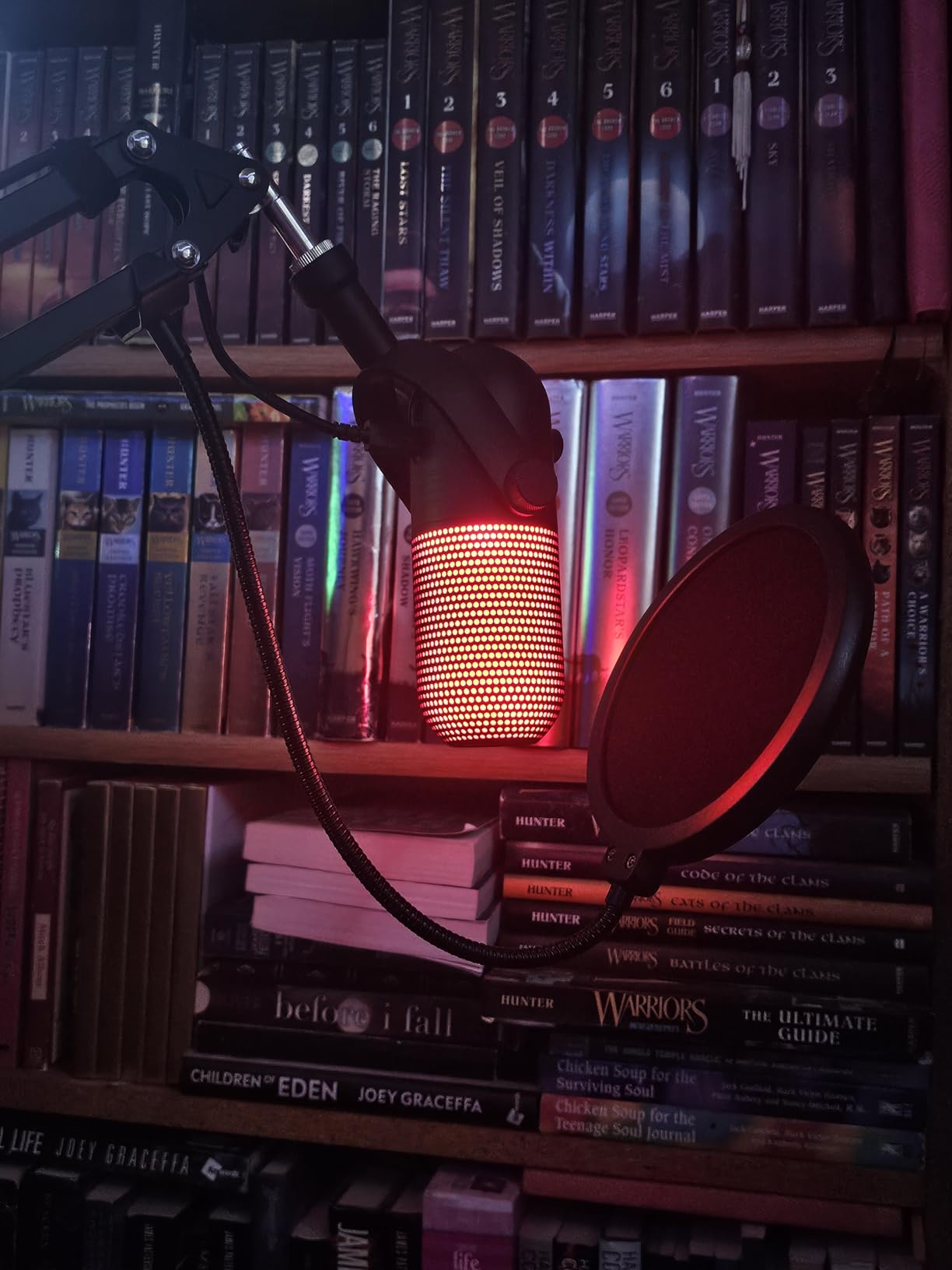 Great mic for the price