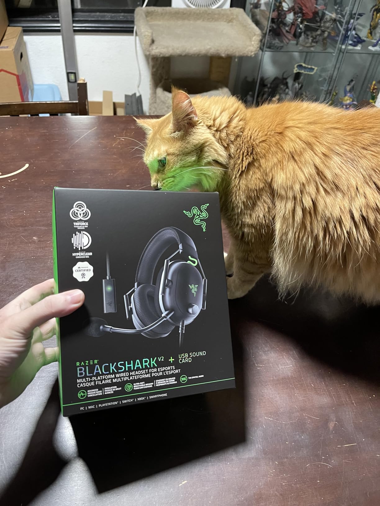 Upgraded from a budget headset and wow
