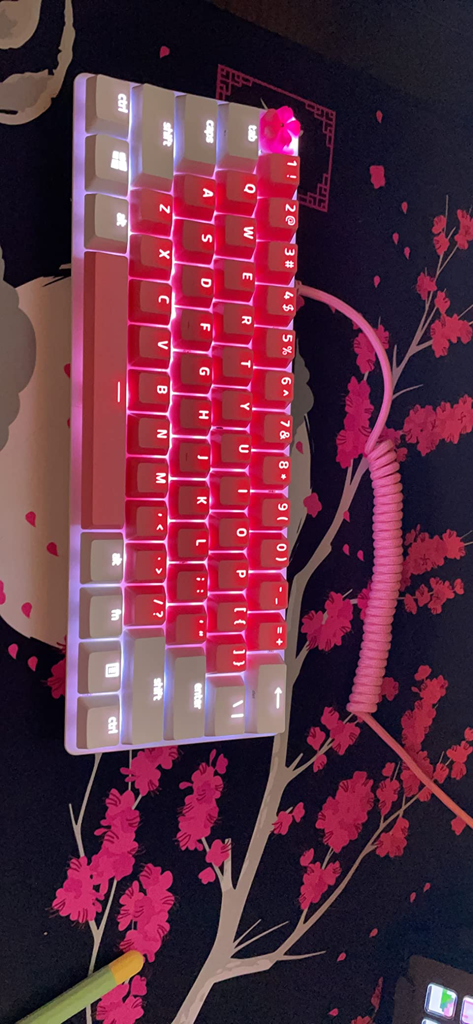 Nice but check your layout