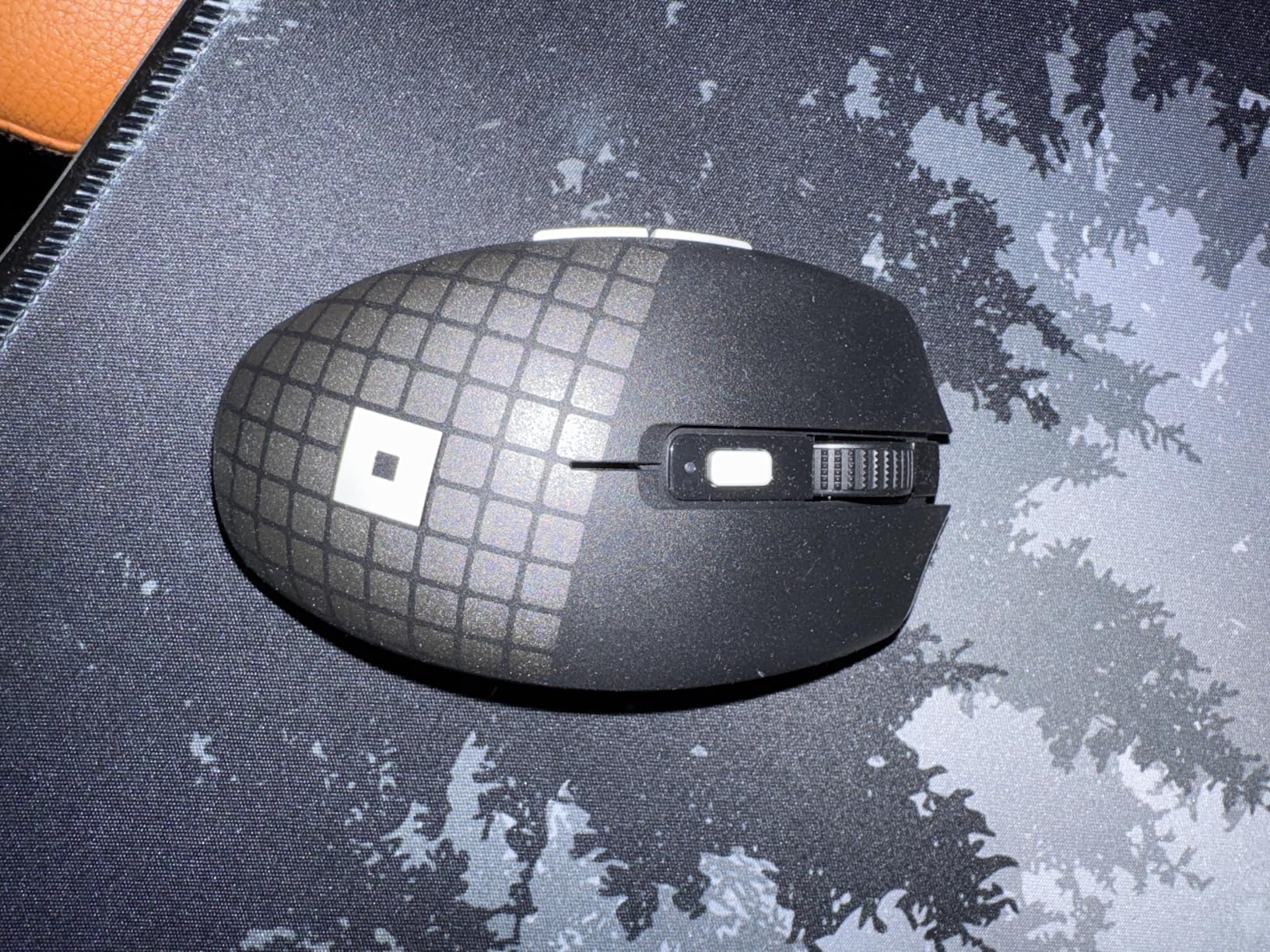 Great mouse, small-ish