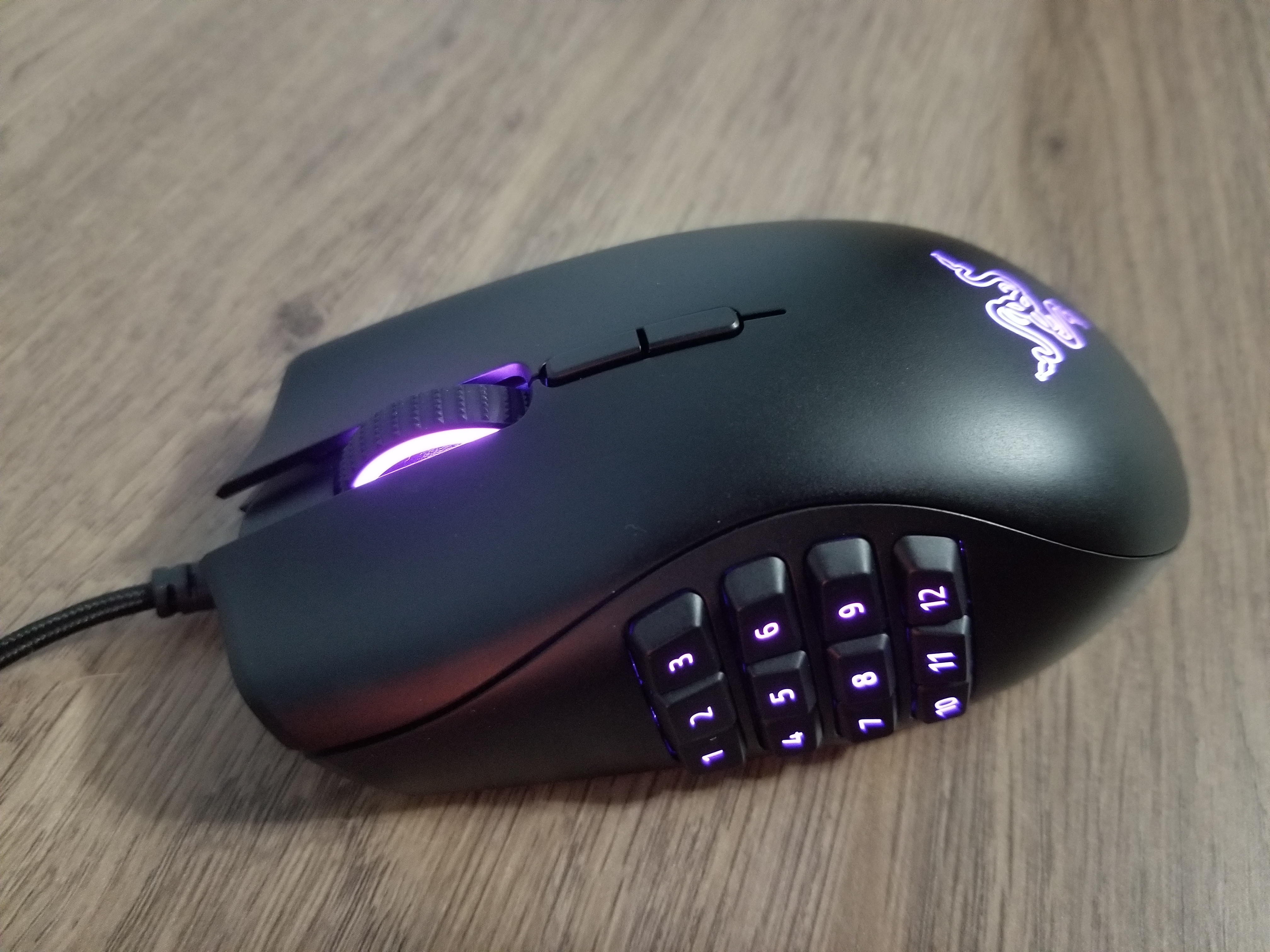 Good mouse, learning curve